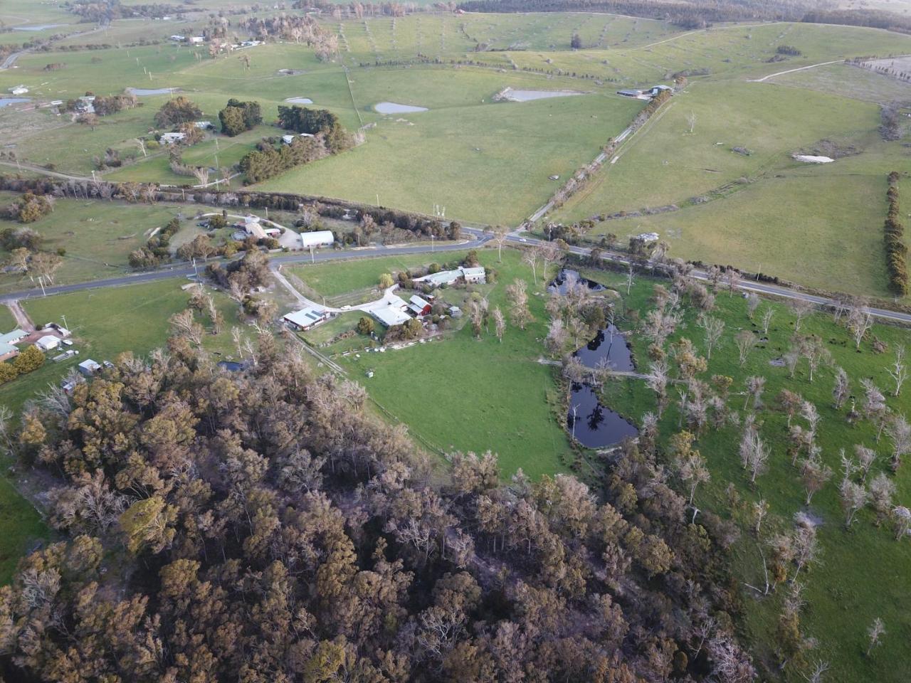 Platypus Park Country Retreat Villa Bridport Exterior photo